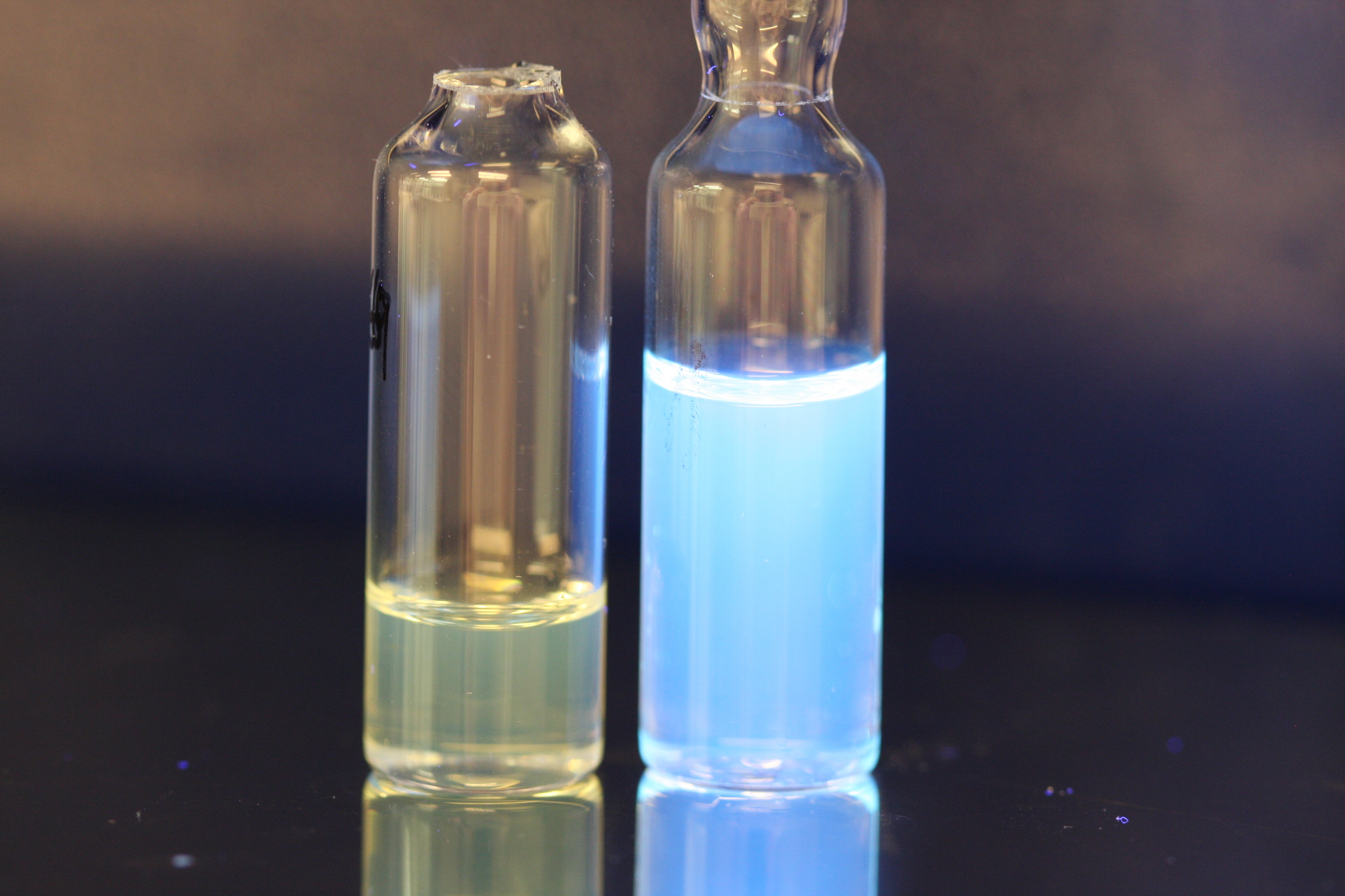 filler image